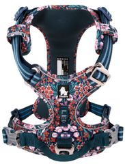 Item thumbnail for item c369a922-2704-4a65-9477-7957a44866b8