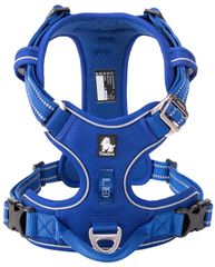 Item thumbnail for item d2fb9f36-83e9-495f-8c98-075197d94f92