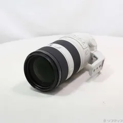 2025年最新】sony 70-200 gmの人気アイテム - メルカリ
