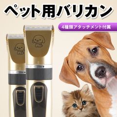 Item thumbnail for item 1fb91ae6-a94d-4514-8a8c-0be8561b73b7