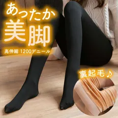 透けて見える フェイク ストッキング風 極暖 ブラック 裏起毛 黒色 タイツ