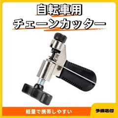 Item thumbnail for item 62fe72fc-e648-4096-b3e2-a937b1ed8269