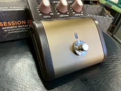 2025年最新】l.r.baggs sessionの人気アイテム - メルカリ