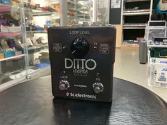 to electronic / DITTO LOOPER X2