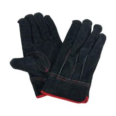 Item thumbnail for item 6638a564-1627-475f-8db1-1dd6ca8b3e61