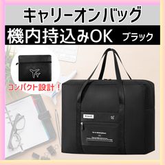 Item thumbnail for item 8196dc25-5786-43e4-a1c7-99dbabda3b66