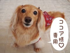 ⭐ジェリーA(プロフ必読)様♡専用 - メルカリ