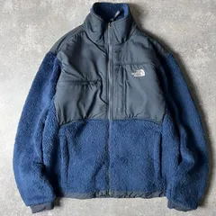 THE NORTH FACE POLARTEC サミット シリーズ フリース デナリ ジャケット S / ノースフェイス 毛足 パイル ボア Summit Series DENALI ブルー
