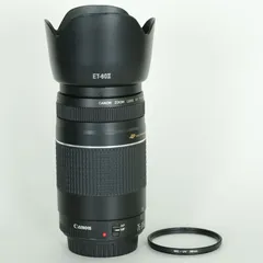 2025年最新】EF75-300mm F4-5.6 IIIの人気アイテム - メルカリ