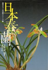 日本春蘭☆一休☆豆花☆円弁素心☆8本 - メルカリ