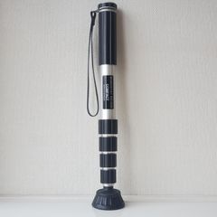 Item thumbnail for item 07676ef2-dd77-4152-9495-6dfbd31b3bae