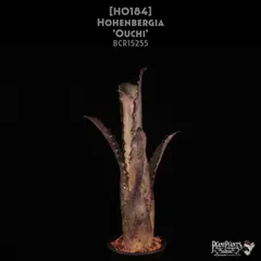 2025年最新】ホヘンベルギアの人気アイテム - メルカリ