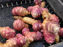 注目食材　無選別　菊芋　10kg 当日収穫当日発送　健康食材