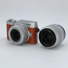 2025年最新】lumix gf10の人気アイテム - メルカリ