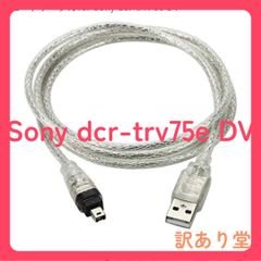 Item thumbnail for item 2af7b068-ce0e-48a9-8b1e-4acbfcf69c6f