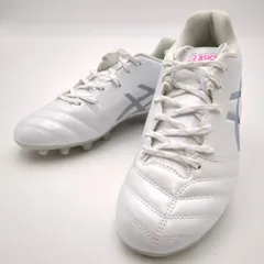 ジュニア DSライト JR GS アシックス 1104A046.101 ホワイト 23.0cm