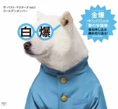 ゴールデンボンバー / ザ・パスト・マスターズ vol.1 / 初回限定盤C / CD / V系 / ビジュアル系