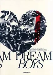 【中古】パンフレット ≪パンフレット(舞台)≫ パンフ)DREAM BOYS 2008(東京公演)