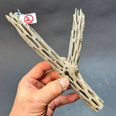 2025年最新】カクタスパーチの人気アイテム - メルカリ