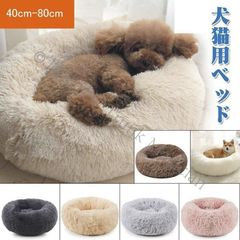 Item thumbnail for item 4cc31033-2879-4ba3-9d8a-845a82be03cf