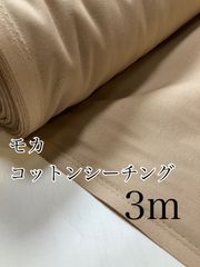 Item thumbnail for item cf30f243-76f5-4ee3-b536-04fb7e183ace