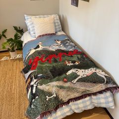 Item thumbnail for item 3d1b2f23-1f3b-4b84-8c5f-9c8f16e96ed0