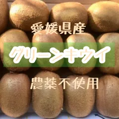 農薬＊化学肥料＊除草剤不使用　 愛媛県産キウイフルーツ 未追熟　2kg