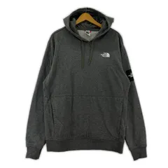 THE NORTH FACE ザ・ノースフェイス 裏起毛 ロゴプリントパーカー sizeL/グレー
