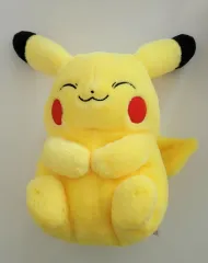 ポケットモンスター ピカチュウ ジッパーバッグ ぬいぐるみ