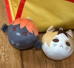 ハイキュー!! 劇場版ゴミ捨て場の決戦 烏野高校 日向、ヒナタ 音駒高校 研磨 ぬいぐるみ キーホルダー