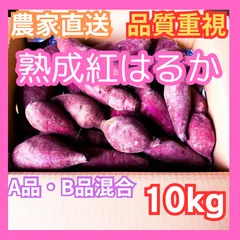 熊本県産　さつまいも　熟成紅はるか　B品時々A品混合　10kg (訳あり品)
