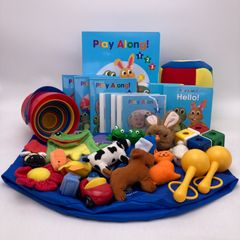 プレイアロング ブルーレイ おもちゃ付 ディズニー英語システム DWE