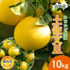 贈答用 文旦 土佐文旦 2L～4L 10kg 宿毛文旦 産直 あおかぜ農園 宿毛 ぶんたん 宿毛市 高知産 宿毛産 10キロ ジューシー まろやか 高知 ブンタン 宅急便