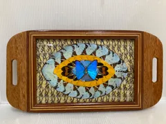 2026年最新】モルフォ蝶 アートの人気アイテム - メルカリ