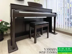 2025年最新】clp-735の人気アイテム - メルカリ