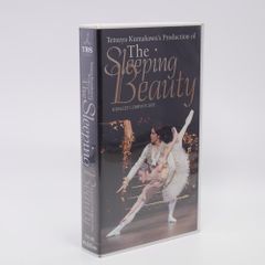 メガROMゲーム必勝本 2 宝島PG BOOKS パラダイム MSX/MSX2/ドラゴン