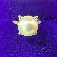 Item thumbnail for item ee056655-f412-4987-9a89-5404e34337dc