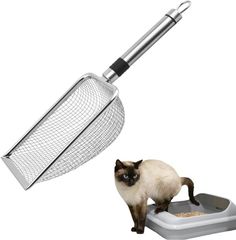 Item thumbnail for item 066a2c60-3cb3-41d4-9171-3f08a5a04957