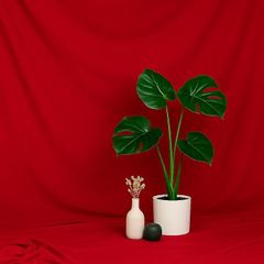 Item thumbnail for item 2b0e5bfa-c9f9-4443-8681-3f71cf5b321f