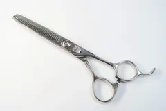 2025年最新】アコスシザーの人気アイテム - メルカリ