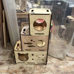 Item thumbnail for item a99cad43-7027-4322-8616-4a6b4e8e42f3