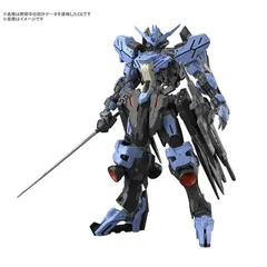 2025年最新】MG 1/100 ガンダムヴィダールの人気アイテム - メルカリ