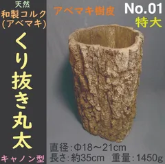 2025年最新】コルク樹皮 キャノンの人気アイテム - メルカリ