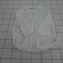 ◇ Θ ザラ ZARA 4043/083/251 コットンレースブラウス ホワイト系 レディース M E  【1510070005465】