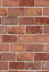 Item thumbnail for item 81a7079d-e129-4758-a5d4-fa4a2fb2083a