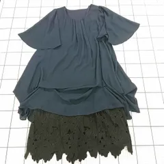 ◇ ⊂ スイッチ switch 花柄レース切替フレアワンピース ネイビー系 レディース F E  【1510230012838】