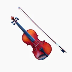 2025年最新】鈴木バイオリン 4/4 特no.1の人気アイテム - メルカリ