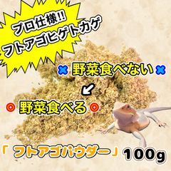 Item thumbnail for item 97219aeb-52d6-4377-97c5-c7d633bd72bf