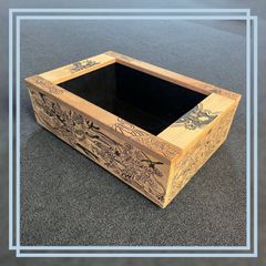 希少】メダカ飼育容器 NV BOX NVボックス 13 10個セット ホワイト