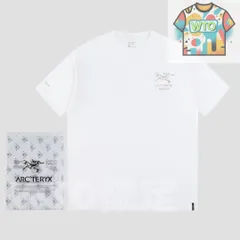 【本日限定特価】Ayc Teryx × PALACE コラボ メタリックシルバープリントTシャツ [本日特価|新品未使用品]
